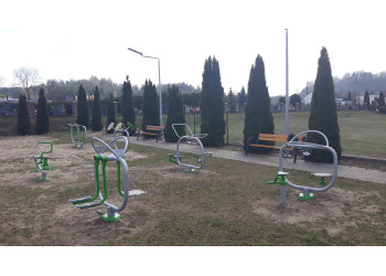 Mini siłownia dla dzieci Rowerek + Stepper | Starmax